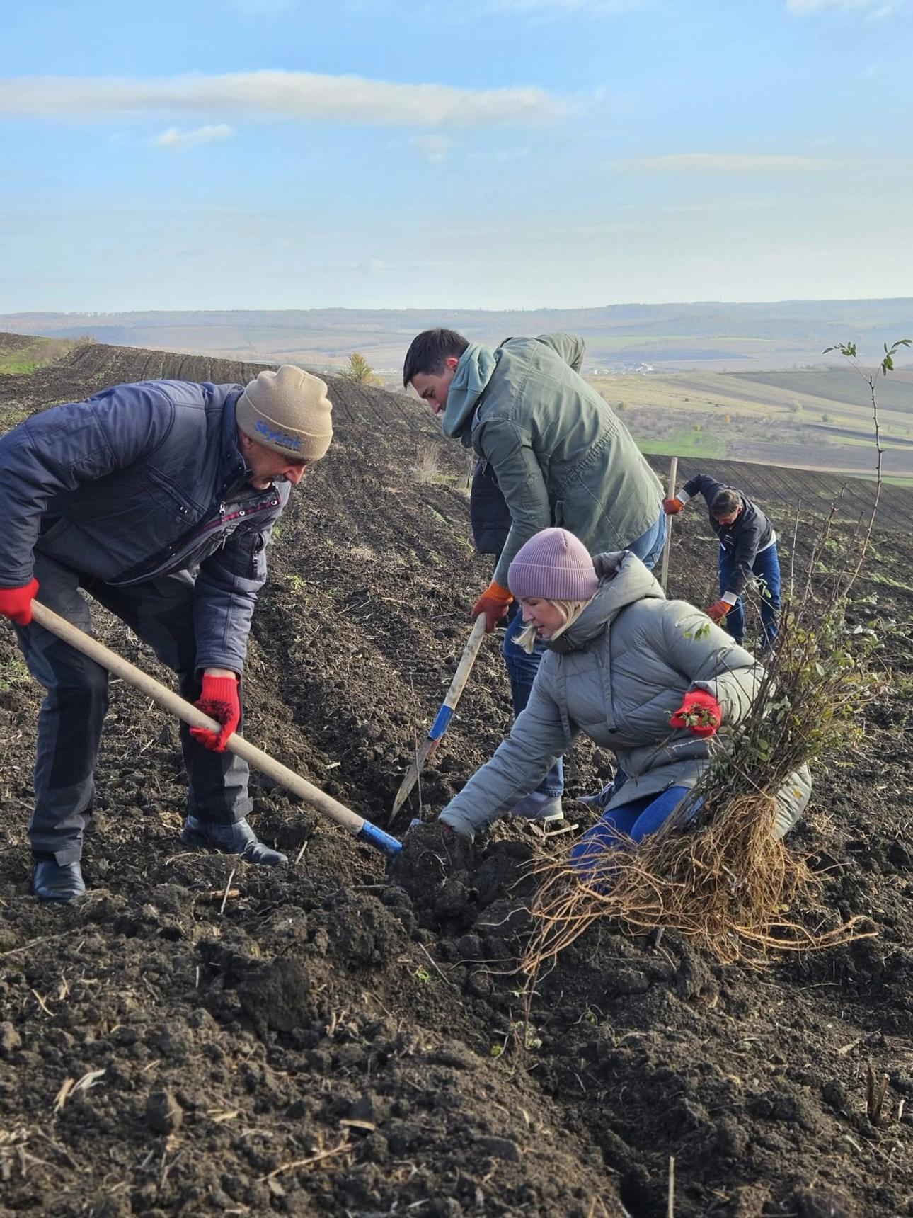  Autoritatea Aeronautică Civilă susține inițiativa națională de împădurire pentru un viitor sustenabil