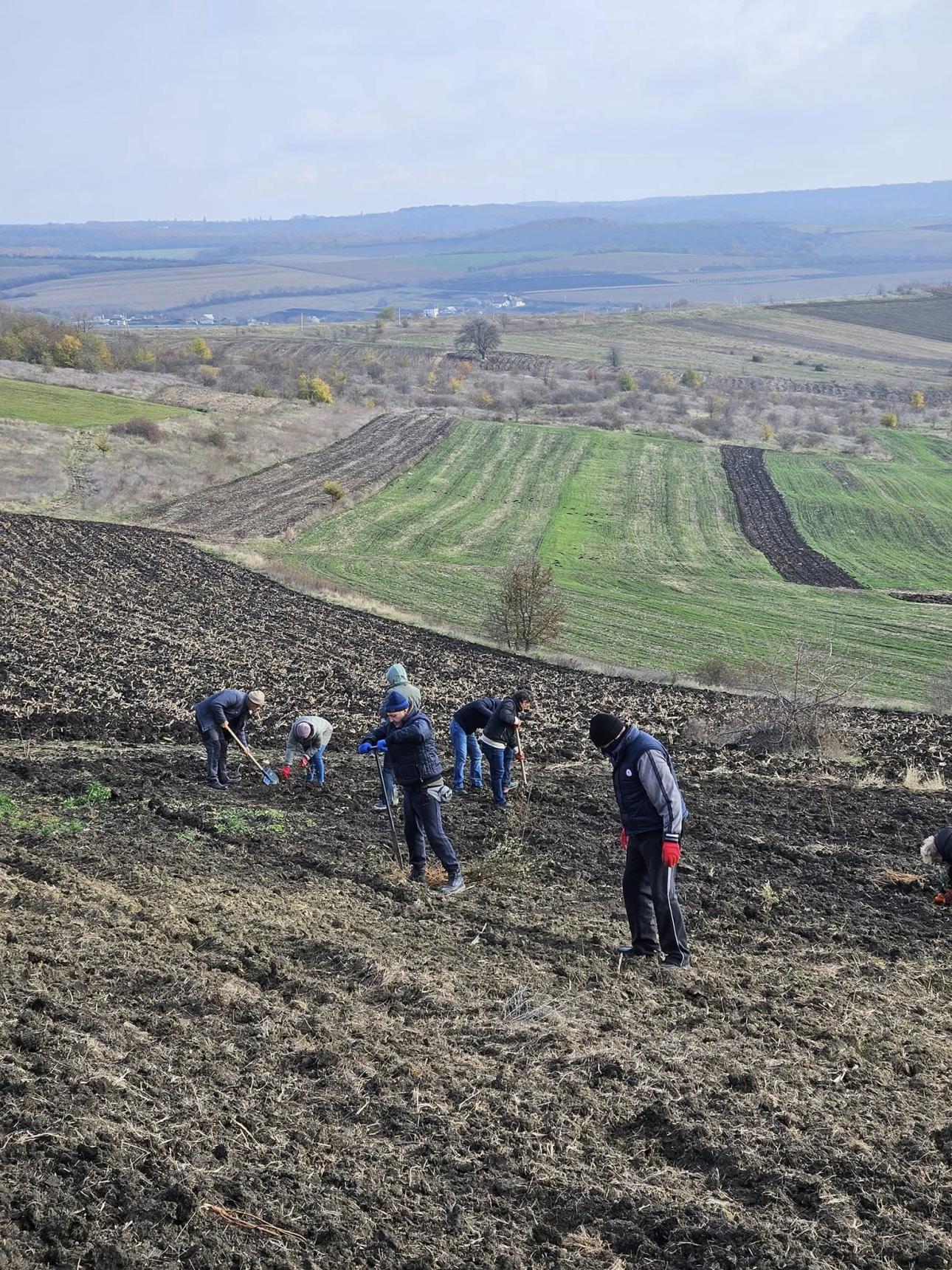  Autoritatea Aeronautică Civilă susține inițiativa națională de împădurire pentru un viitor sustenabil