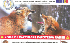 Zboruri autorizate în contextul campaniei de vaccinare contra rabiei a animalelor sălbatice